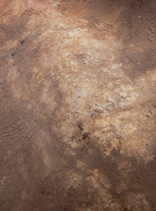 Textured brown surface with patterns