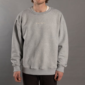 Person wearing a gray sweatshirt with text on a plain background
