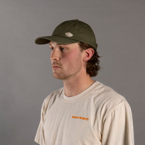Man wearing a green cap and beige t-shirt with a logo on a gray background