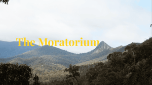 Video 4 trigger image